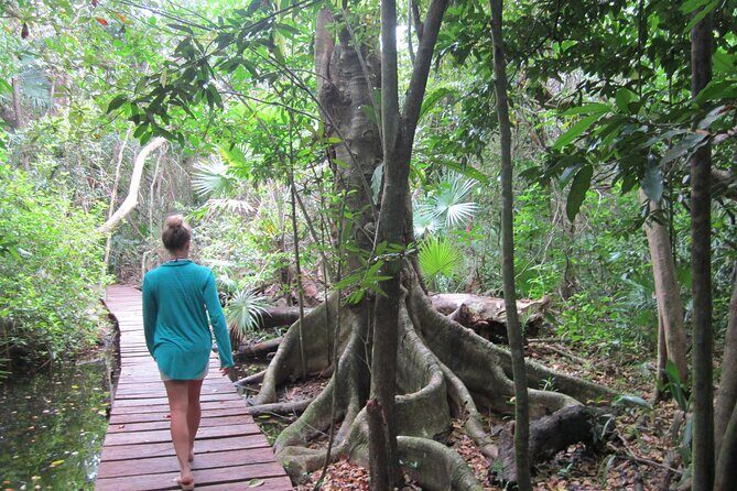 Private Birdwatching Tour in Sian Ka'an Muyil - What the guides do that makes the day work