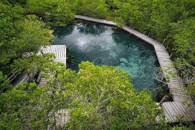 Private boat tour (3 islands tour) - The Captain/Guide Experience: What Small-Group Care Looks Like