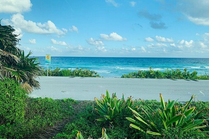 Private Buggy Tour in Cozumel, Snorkel & Lunch: All Inclusive - Should you book this Cozumel buggy and snorkeling tour?