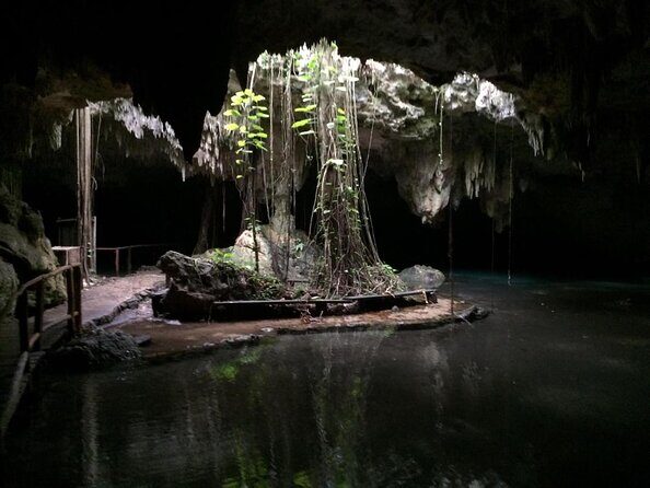 Private Cenote & Cave – Playa del Carmen, Mayan Culture & Fossils - Key highlights you’ll care about