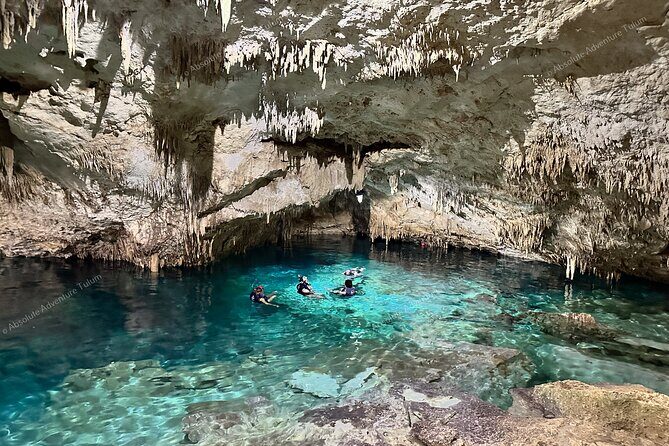 Private Cenote Snorkeling Tour – Tulum’s Hidden Gems - Parque Dos Ojos: Snack Break and a Final Look at the Area