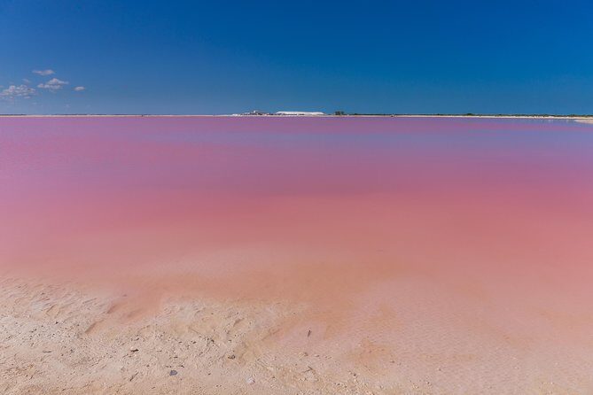 Private Chichen Itza, Cenote Ik Kil, Rio Lagartos & Las Coloradas - Cenote Ik Kil: swimming in crystal-clear waters (and what crowding feels like)
