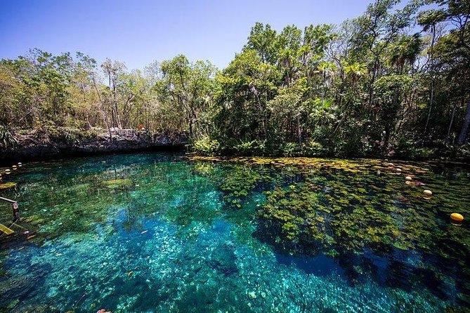 Private Coba & Jungle Adventure: Zipline, Rappel & Cenote - Private guide energy: Emmanuel, Carlos, Stephan, and others