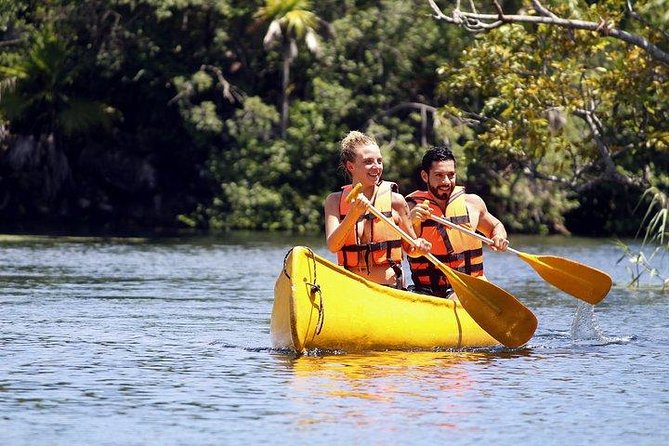 Private Coba & Jungle Adventure: Zipline, Rappel & Cenote - Price and value: what $292.50 per person covers