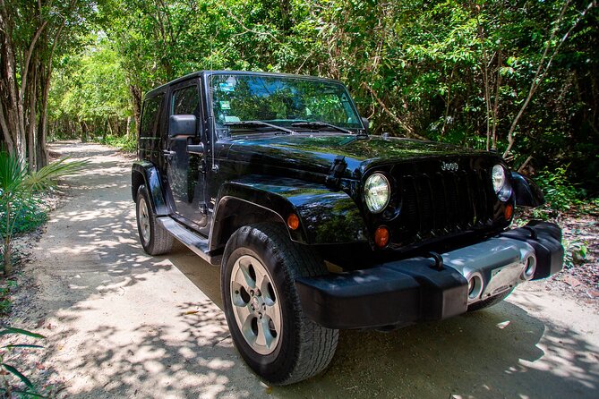 Private Cozumel Jeep and Jade Cavern Cenote Tour - Key highlights you can count on
