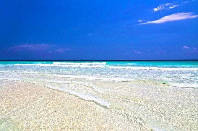 Private Dune Buggy & Snorkel Tour: All-Inclusive - The Skyreef Beach Club stop: reef views without the boat