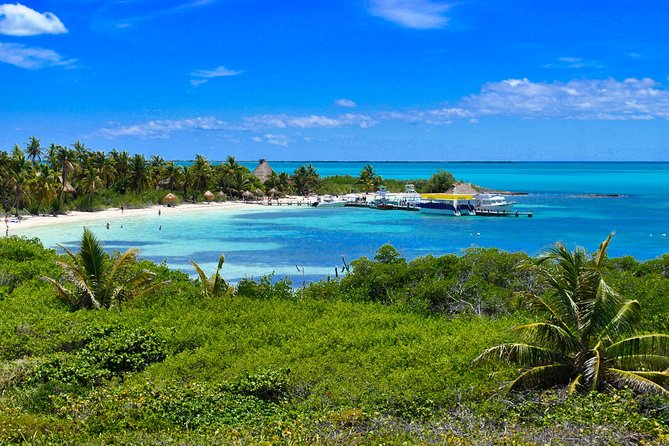 Private Escape: Isla Contoy & Isla Mujeres with Snorkeling - The early 6:00 AM start and why it’s worth it