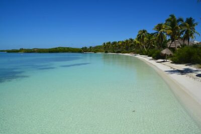 Private Escape: Isla Contoy & Isla Mujeres with Snorkeling - Snorkeling at the Mesoamerican Reef: what you’re actually signing up for