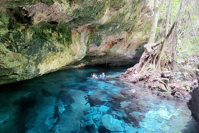 Private experience 5 cenotes at Riviera Maya - Private 5 Cenotes at Riviera Maya: Quiet Swims, Real Stories, and Easy Planning