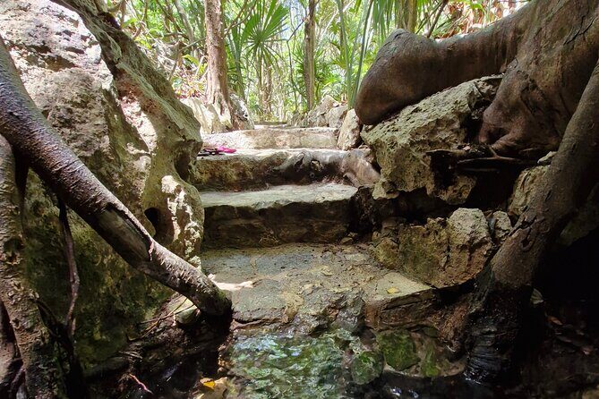 Private experience 5 cenotes at Riviera Maya - Shower rules before you enter: why it’s not just “extra”