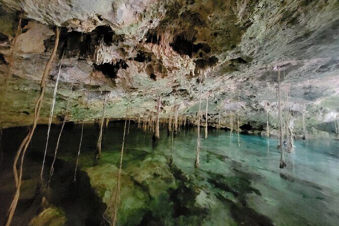 Private experience 5 cenotes at Riviera Maya - Learning about Mayan history (without turning it into a lecture)