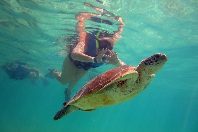 Private Experience: Akumal sea turtles encounter and Yal-kú lagoon colorfull fish snorkel. - Yal-kú Lagoon: a cenote that connects the Caribbean and underground fresh water