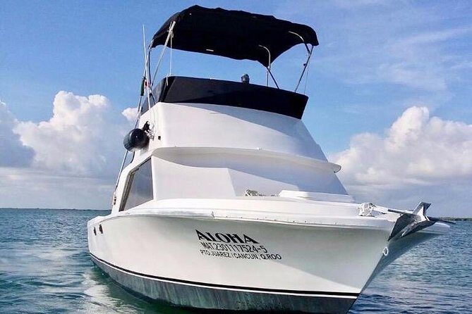 Private fishing charter Bertram 31ft 6 pax max if you don't fish you don't pay - “If you don’t fish, you don’t pay”: how to think about the policy