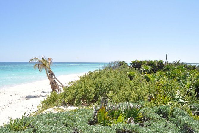 Private Full-Day Guided Tulum Coba and Cenote Tour with Lunch - Tulum: ruins time, then getting into the water