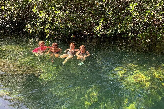 Private Half Day Cultural Tour to Mayan Ruins and Cenote - Stop 4 Cenote Aerolito de Paraiso: A Short Natural Swim-Style Finish