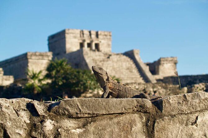 Private Half Day Tour to Tulum Temples and Downtown Shopping - Price and Tickets: What $267 Covers, and What You Still Need to Budget