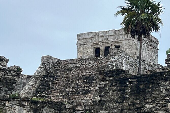 Private Half Day Tulum Ruins, Cave, Wood Sculpture with Lunch - The guide and driver factor: what makes the day feel easy