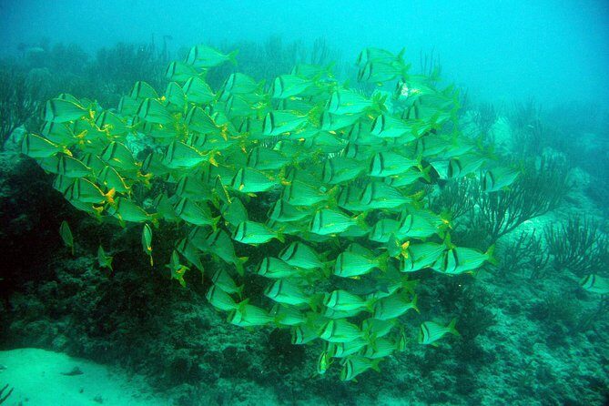 Private Isla Mujeres Adventure & Free Time - Northern Beach Free Time: When the Day Turns Into a Vacation