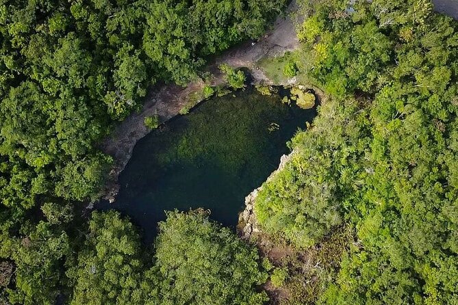 Private Jeep Cenotes Expedition in Cozumel - Key highlights worth planning around