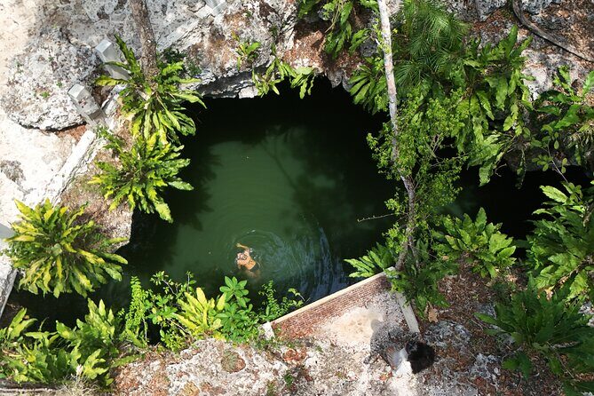 Private Jeep Cenotes Expedition in Cozumel – Swim & Mayan Park - Key highlights worth planning around