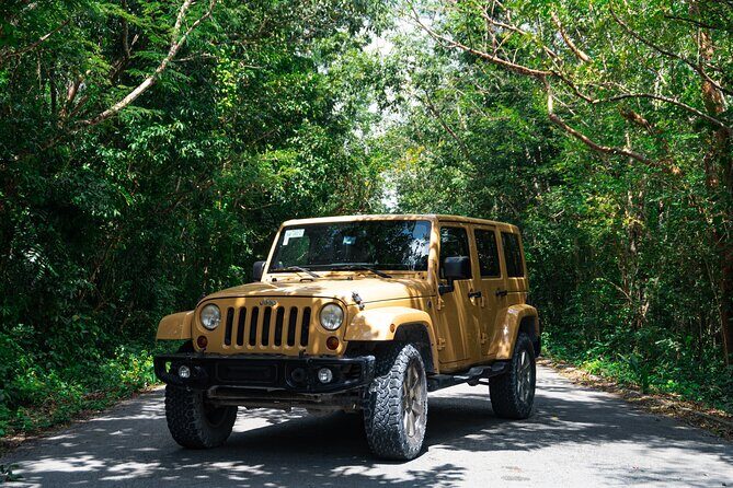 Private Jeep Cenotes Expedition in Cozumel – Swim & Mayan Park - Stop 1: Cenote Aerolito de Paraiso for Snorkel-Ready Jungle Water