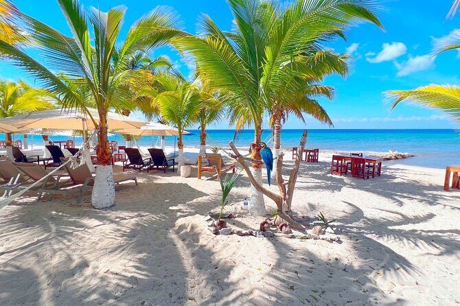 Private Jeep or Buggy Tour Snorkeling Maya Park and Tacos - How guide style shapes the day