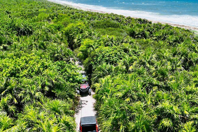 Private Jeep & Polaris RZR: San Gervasio Mayan Ruins & Snorkeling - San Gervasio Mayan Ruins: What You’re Actually Doing for an Hour
