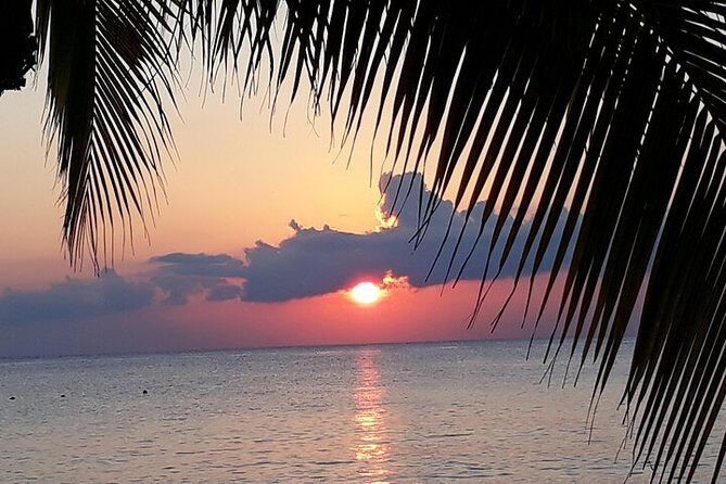 Private Jeep Tour in Cozumel - Price and Value: Why $191.17 Can Make Sense Here