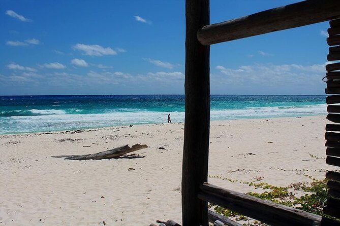 Private Jeep Tour in Cozumel - Pickup, Meeting Points, and Cruise Timing Reality