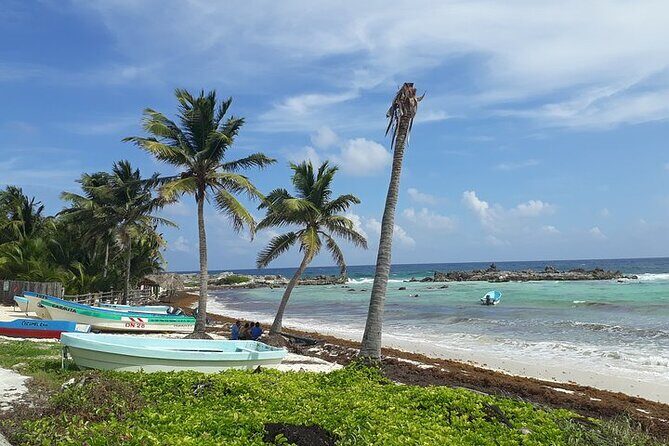 Private Jeep Tour in Cozumel - Punta Sur Eco Beach Park: Crocodiles, Views, and 132 Steps