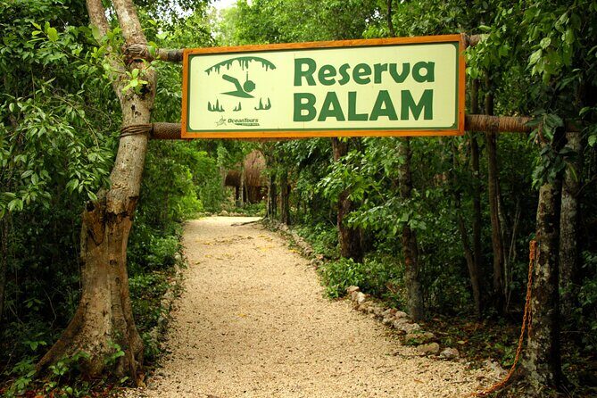 Private Jungle Adventure tour: Zipline + Rappel + Cenote - Snorkeling underground: what you actually see