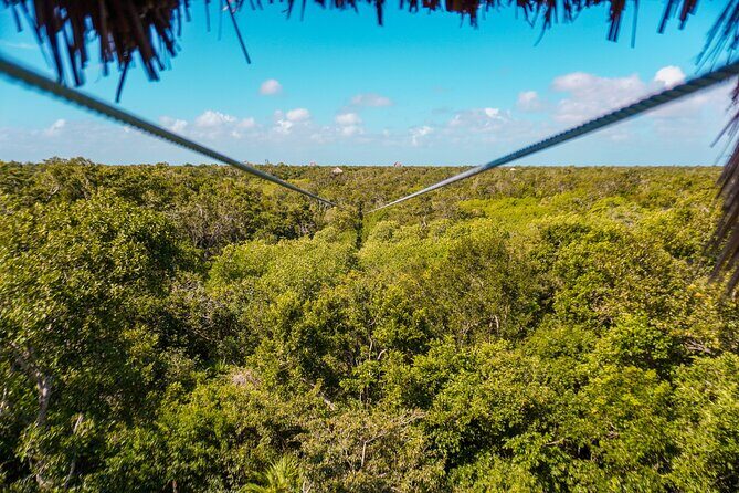 Private Jungle Adventure tour: Zipline + Rappel + Cenote - Should you book this private jungle adventure?