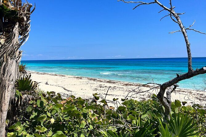 Private Mayan Ruins Tour with Cenote/caves and Mexican Picnic - Cenote Aerolito de Paraiso: swim time in limestone cool water