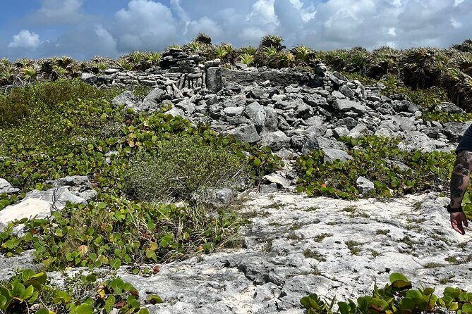 Private Mayan Ruins Tour with Cenote/caves and Mexican Picnic - Pickup, private format, and timing that actually works on a port day