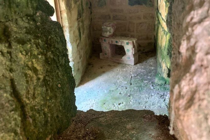 Private Mayan Ruins Tour with Cenote/caves and Mexican Picnic - Tequila at Rancho Alejandra: the tasting plus the story behind it
