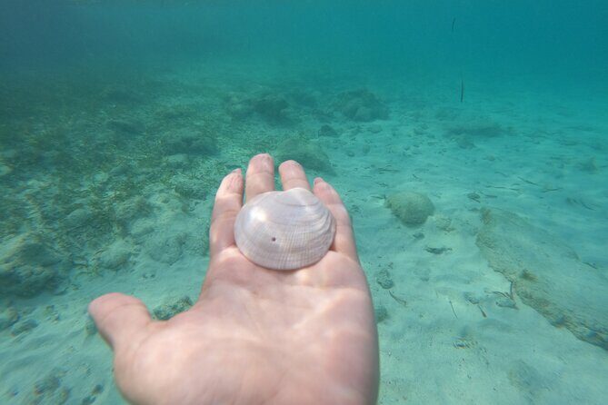 Private MUSA Snorkeling Experience at Isla Mujeres and Cancun - The shallow swim stop: when the trip turns from work to play