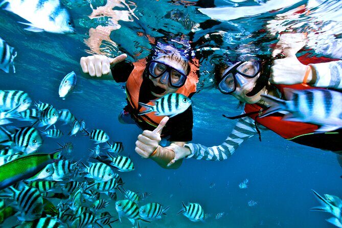 Private MUSA Snorkeling Experience at Isla Mujeres and Cancun - GoPro photos: great idea, extra cost