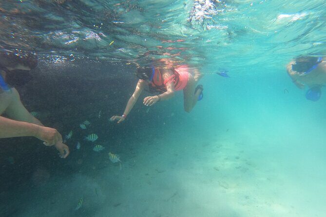 Private MUSA Snorkeling Experience at Isla Mujeres and Cancun - Stop 1 at MUSA: snorkeling underwater art without the rush