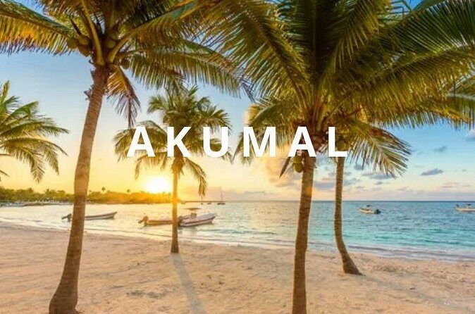 Private one-way airport transfer from Cancun - Akumal. - The Pickup Experience: Private Doesn’t Mean You Can’t Plan
