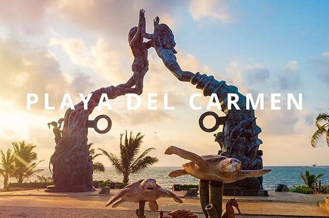 Private one-way transfer Airport - Playa del Carmen. - The Ride to Playa: Comfort, Speed, and Fewer Stops