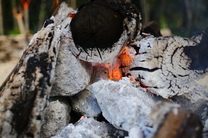 Private or Small-Group Temazcal Maya Ritual from Playa del Carmen - How the pickup and timing shape your day