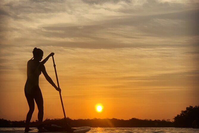 Private Paddleboard Experience in Bacalar - Key Highlights You’ll Actually Care About