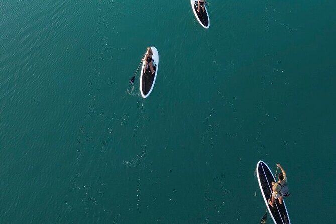 Private Paddleboard Experience in Bacalar - Mid-Tour Break: Light Breakfast in Nature
