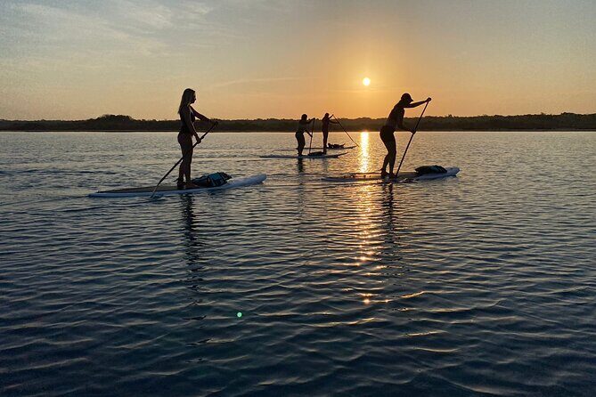 Private Paddleboard Experience in Bacalar - Stop 2: Black Cenote and the Different Mood