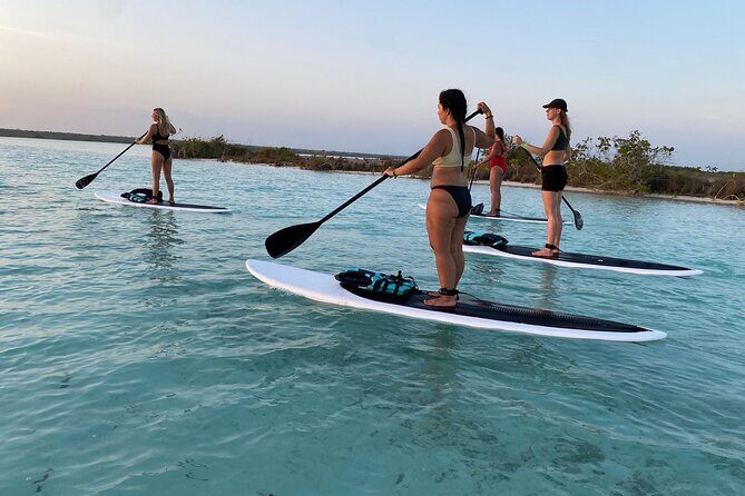 Private Paddleboard Experience in Bacalar - Meeting Point and Pickup: The Part That Can Make or Break Your Morning