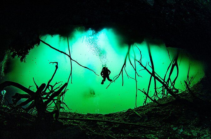 Private Scuba Diving in Cenote around Playa del Carmen - Meeting point and timing: keeping your day stress-free