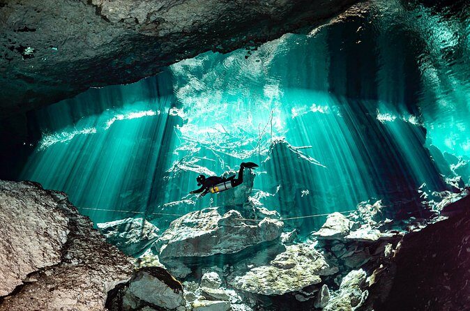 Private Scuba Diving in Cenote around Playa del Carmen - Value check: what makes this worth your time