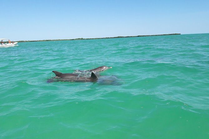 Private Sian Kaan Biosphere Tour - Boat time, turtles, and what snorkeling adds to the day