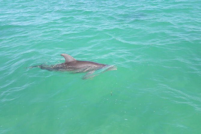Private Sian Kaan Biosphere Tour - Inside Sian Ka’an: wildlife viewing that actually takes time