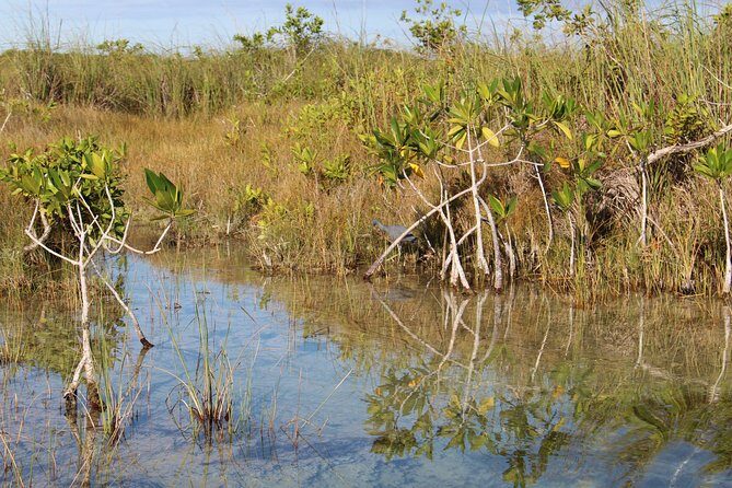 Private Sian Kaan Muyil Lazy River Tour - Entering Muyil: Mayan ruins in a jungle-port setting